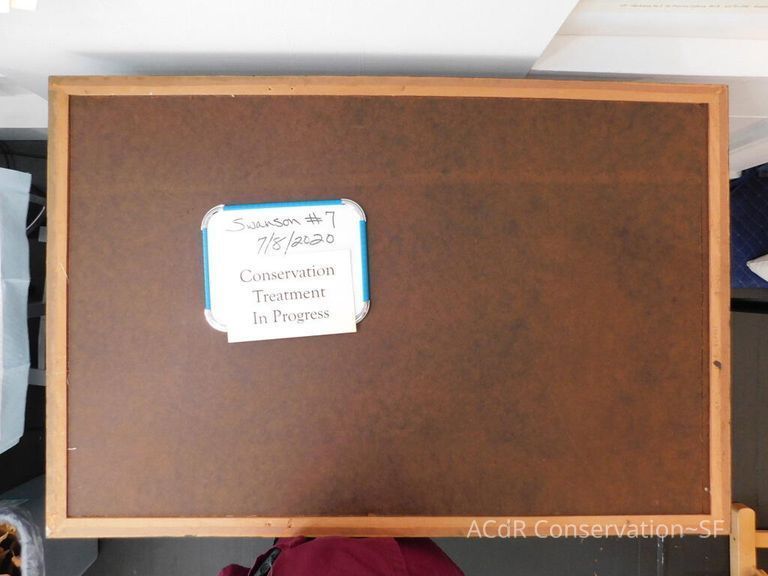 #7 - Grass and Thistles - Image 18