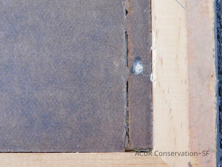 #7 - Grass and Thistles - Image 19