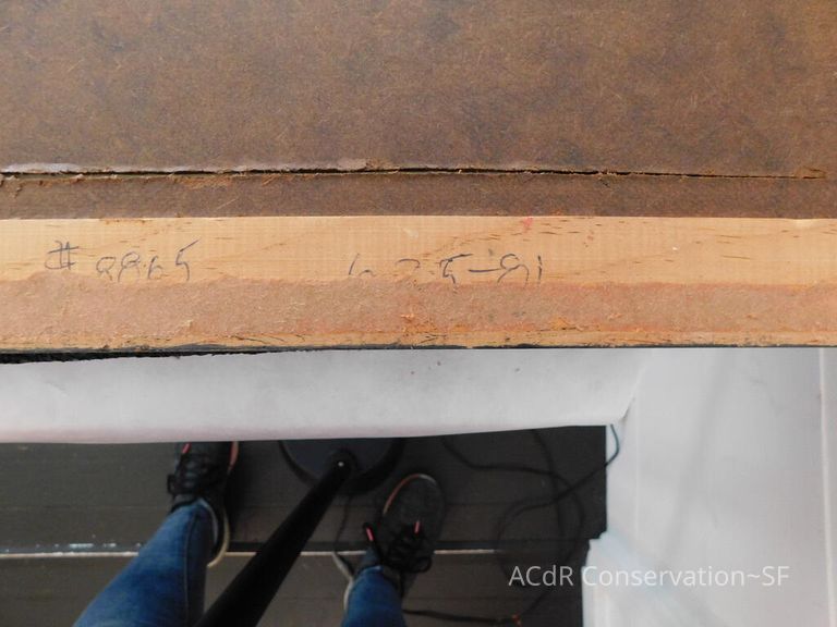 #7 - Grass and Thistles - Image 23