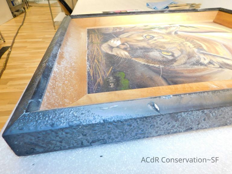 Crouched puma - Image 7