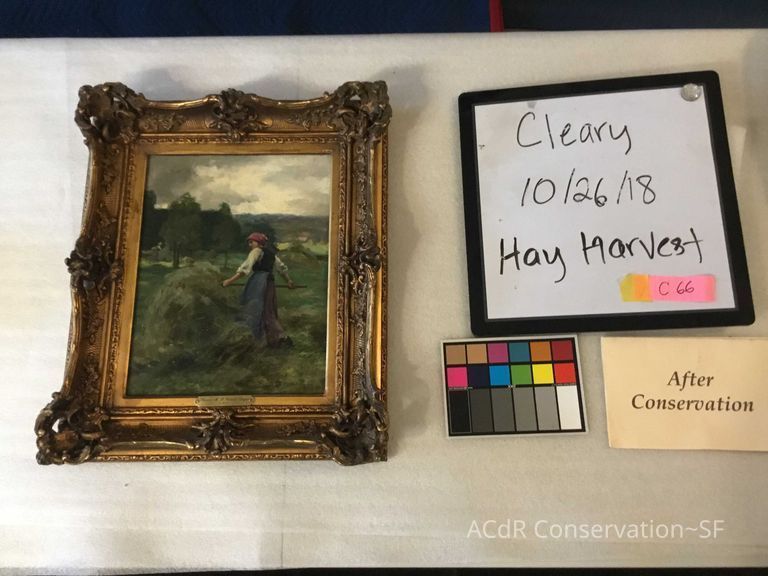 Hay harvest - Image 3