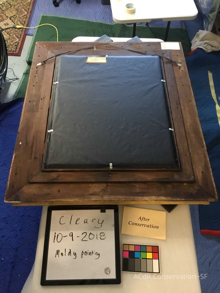  Sheep herder - Image 13