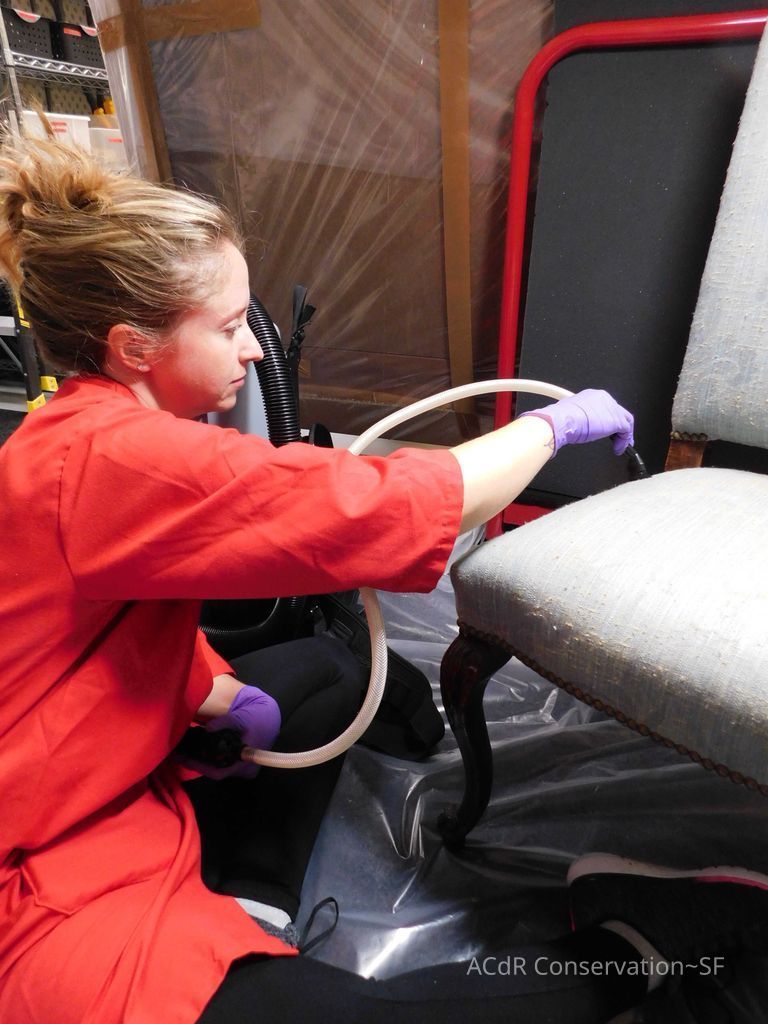          Joy picture number 1
