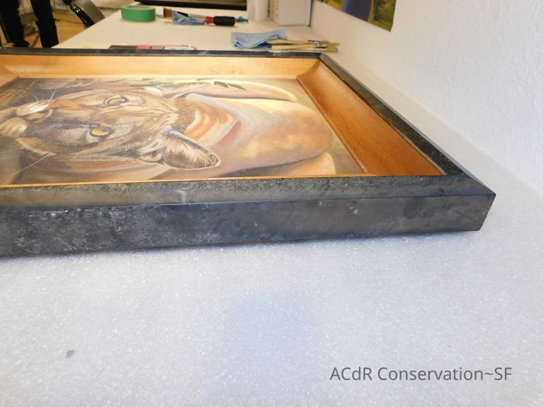 Crouched puma - Image 9