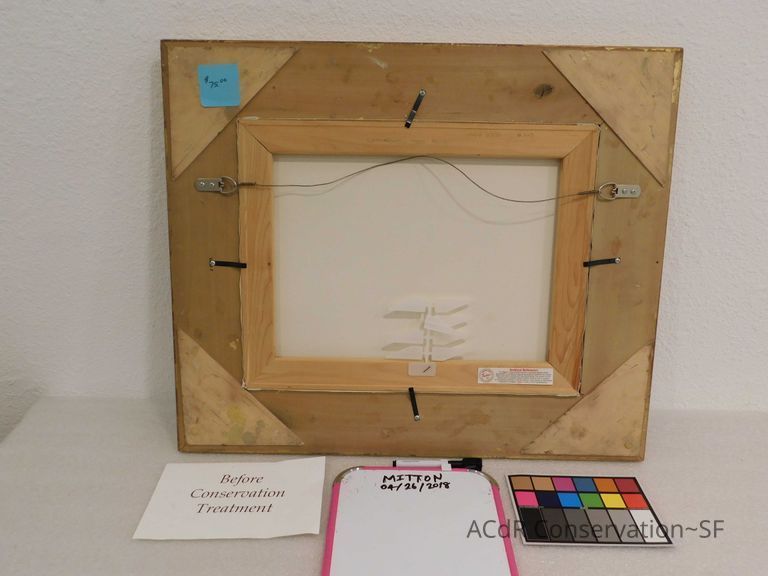 Tracks through the woods - Image 2