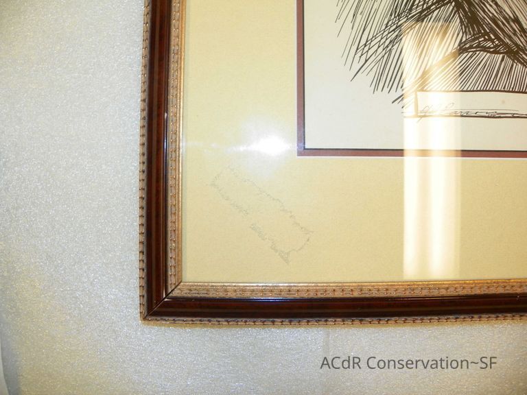 Couple Portrait  - Image 5