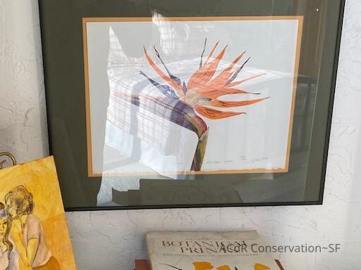          Bird of paradise picture number 1
