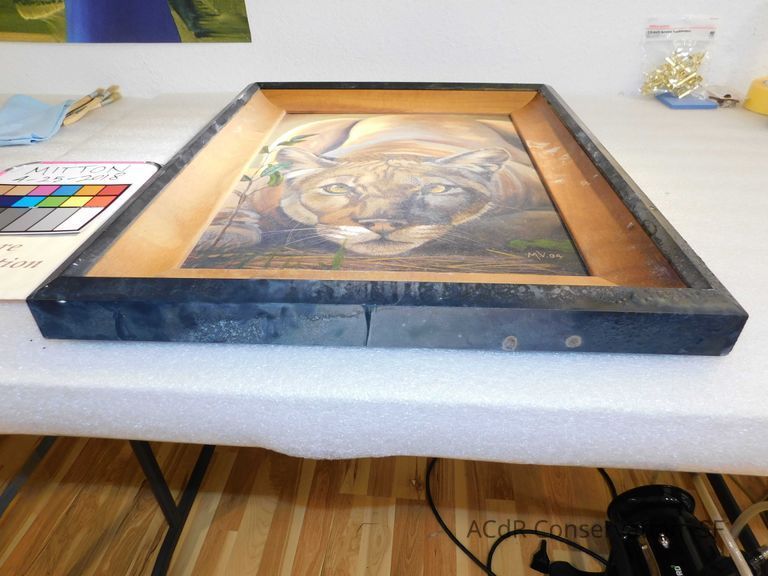 Crouched puma - Image 10