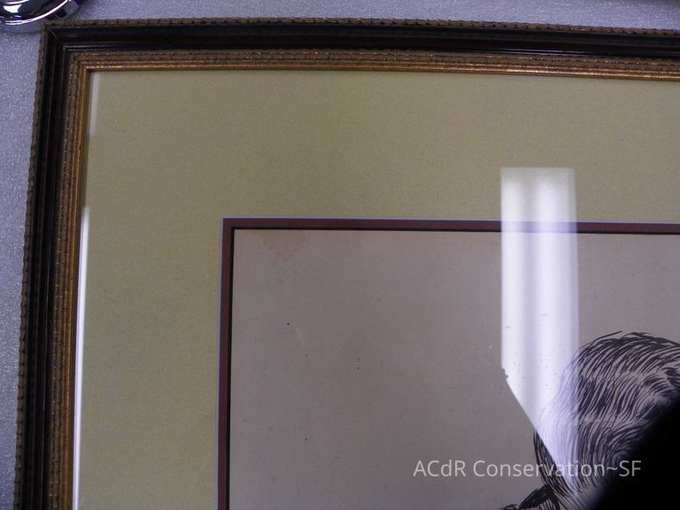 Couple Portrait  - Image 7