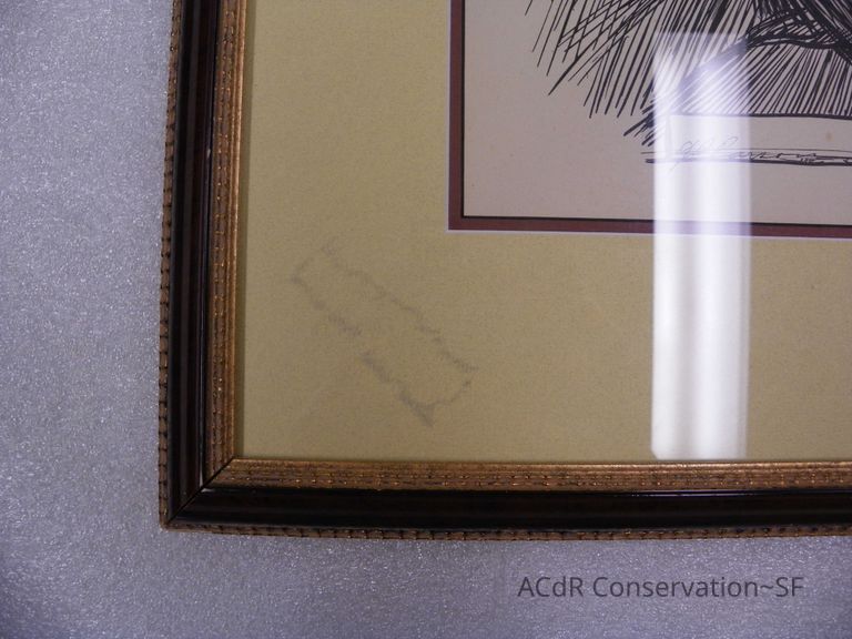 Couple Portrait  - Image 8