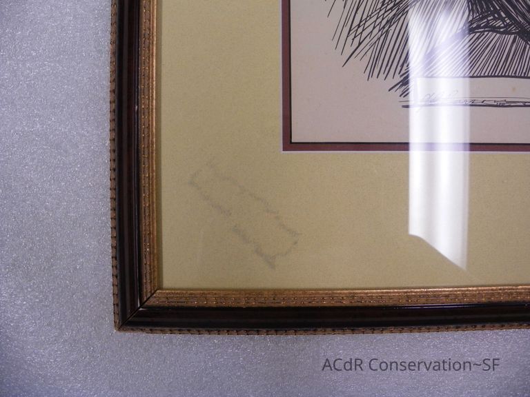 Couple Portrait  - Image 9