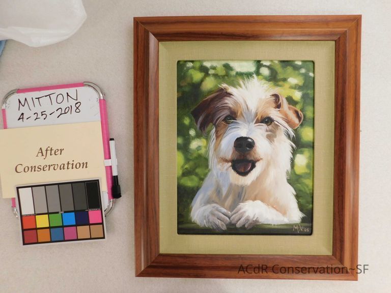 Jack Russell terrier portrait - Image 3