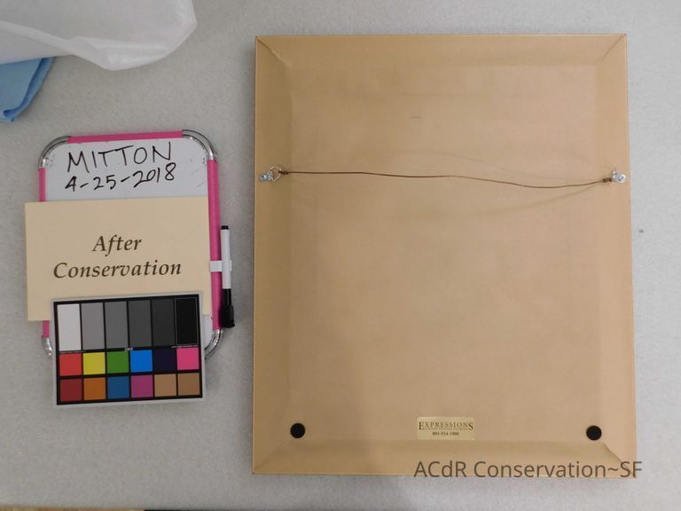 Jack Russell terrier portrait - Image 4