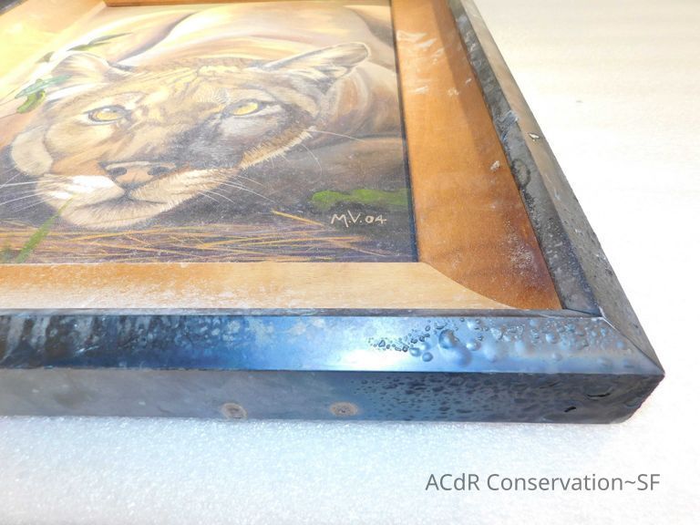 Crouched puma - Image 11