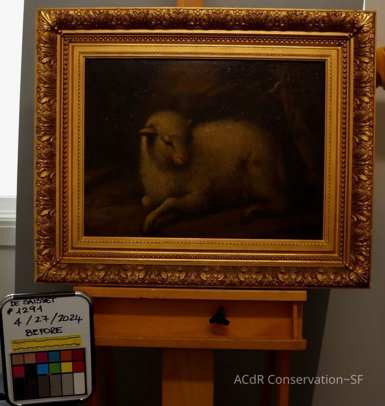          Lamb picture number 1
