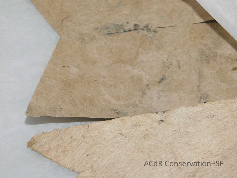 Textile and Tribal Arts Show Rehousing Project - Image 146