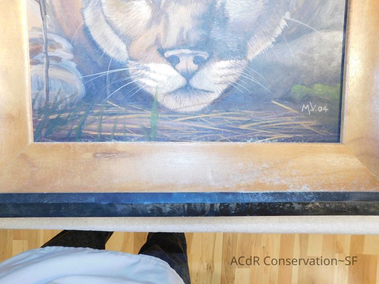 Crouched puma - Image 12