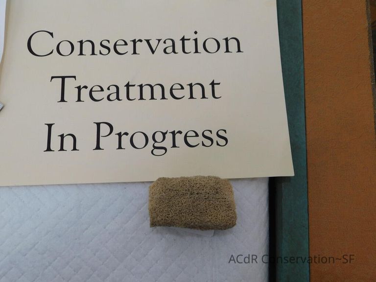 #5 - Pheasant - Image 19