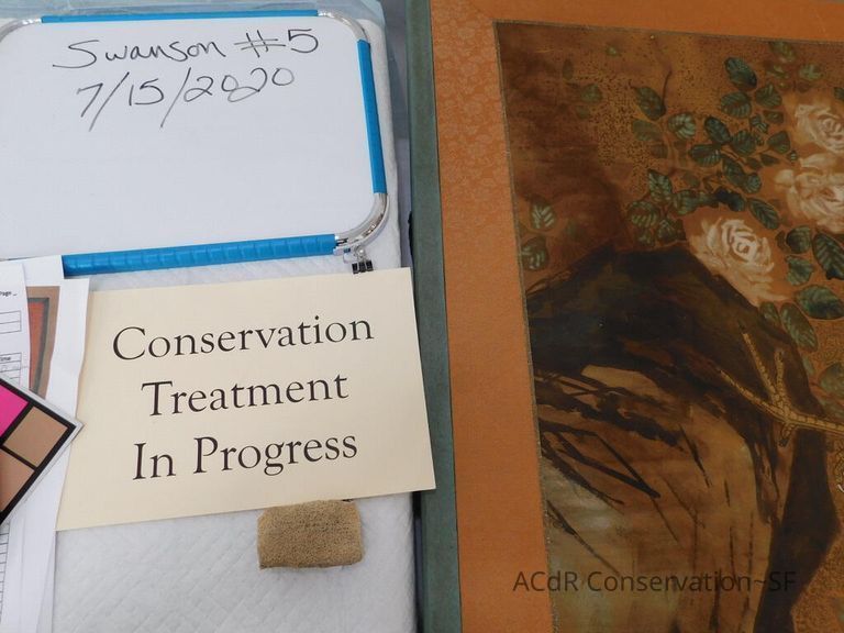 #5 - Pheasant - Image 20