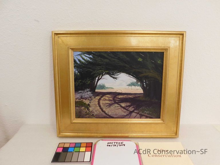 Tracks through the woods - Image 3