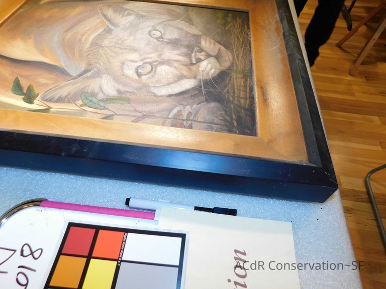 Crouched puma - Image 13