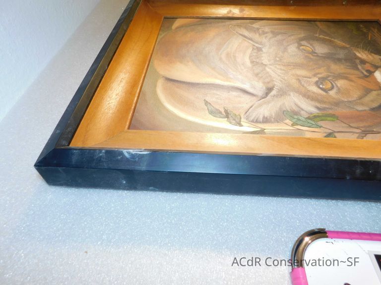 Crouched puma - Image 14