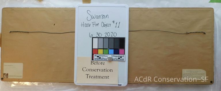 #11 - Butterflies - Image 4