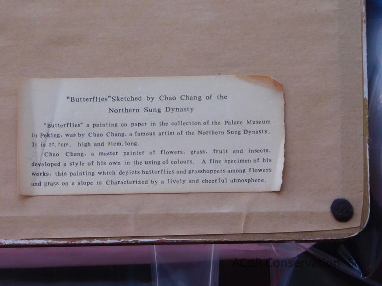 #11 - Butterflies - Image 6