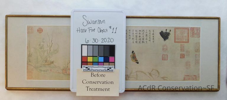 #11 - Butterflies - Image 7