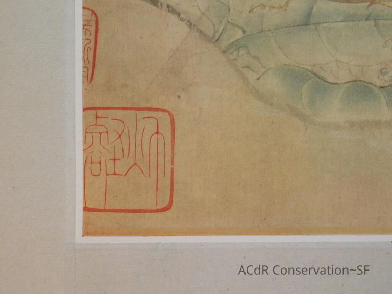 #11 - Butterflies - Image 9