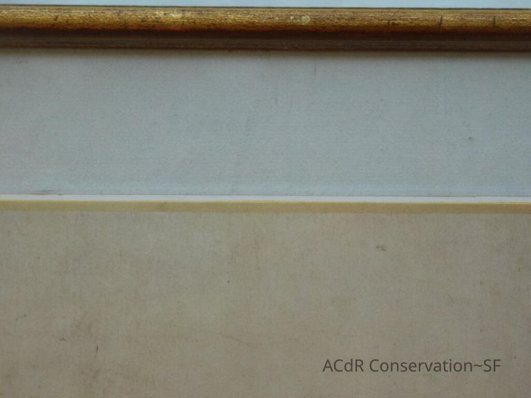 #11 - Butterflies - Image 10