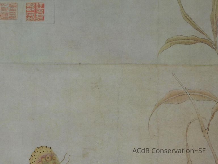 #11 - Butterflies - Image 11