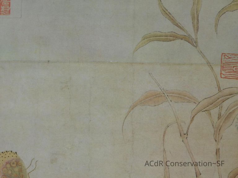 #11 - Butterflies - Image 12