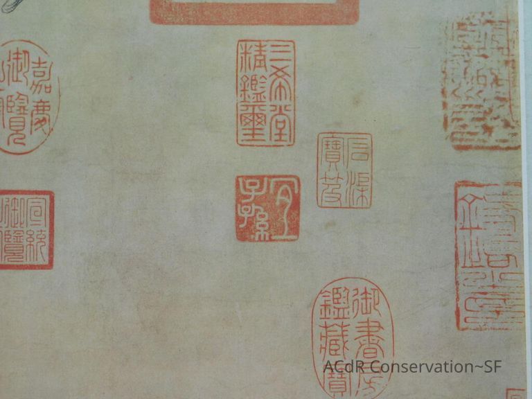 #11 - Butterflies - Image 13