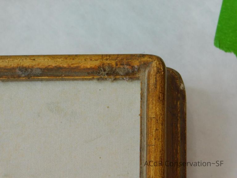 #11 - Butterflies - Image 14