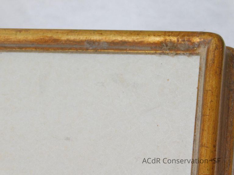 #11 - Butterflies - Image 15