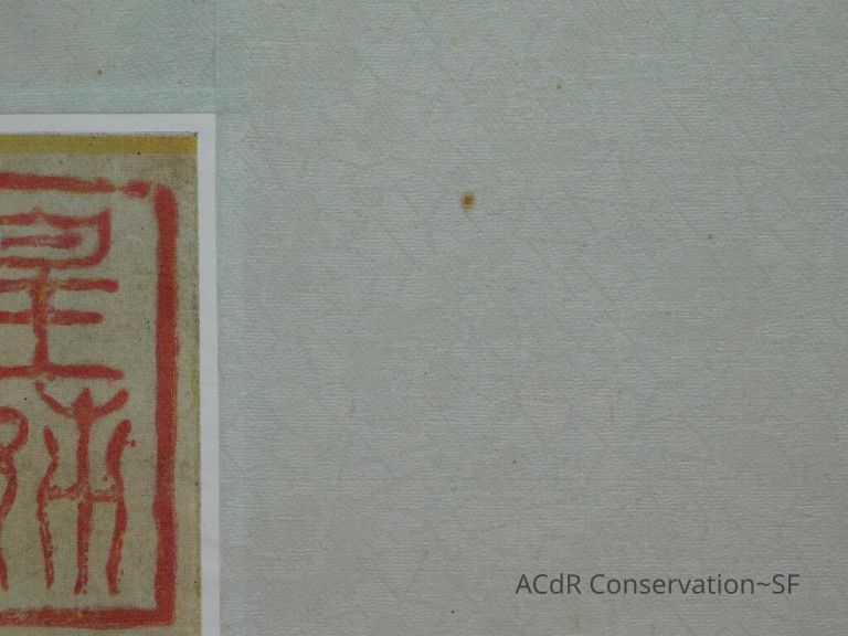 #11 - Butterflies - Image 16