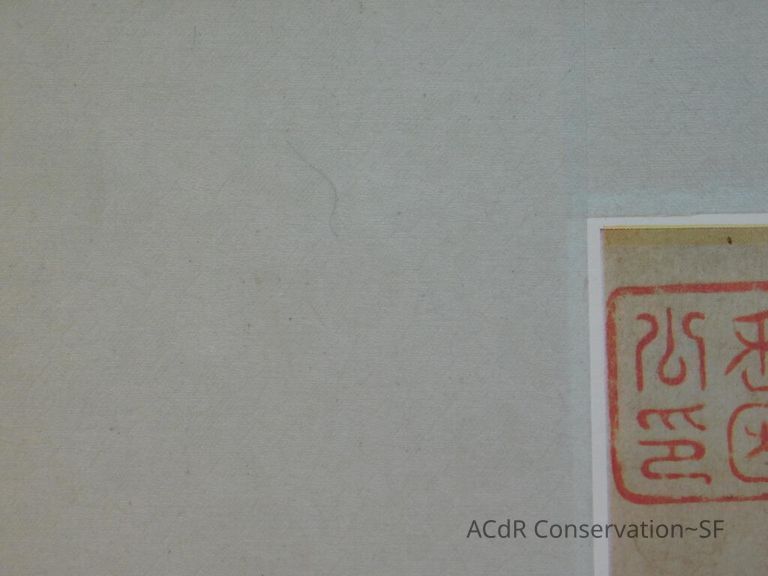 #11 - Butterflies - Image 18