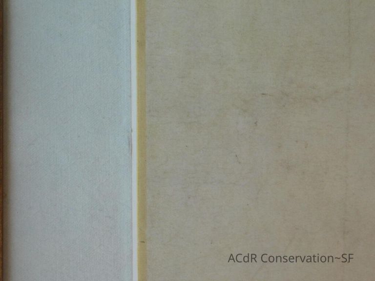 #11 - Butterflies - Image 19