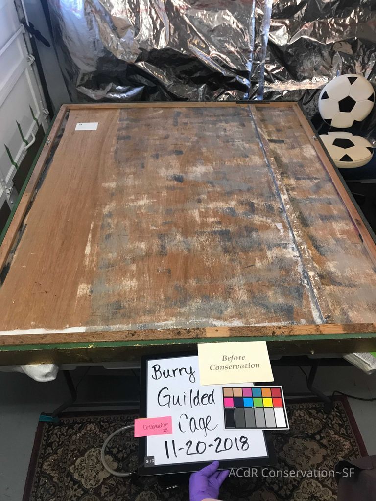 The Gilded Cage  - Image 2