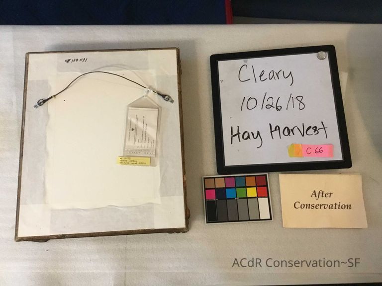 Hay harvest - Image 4