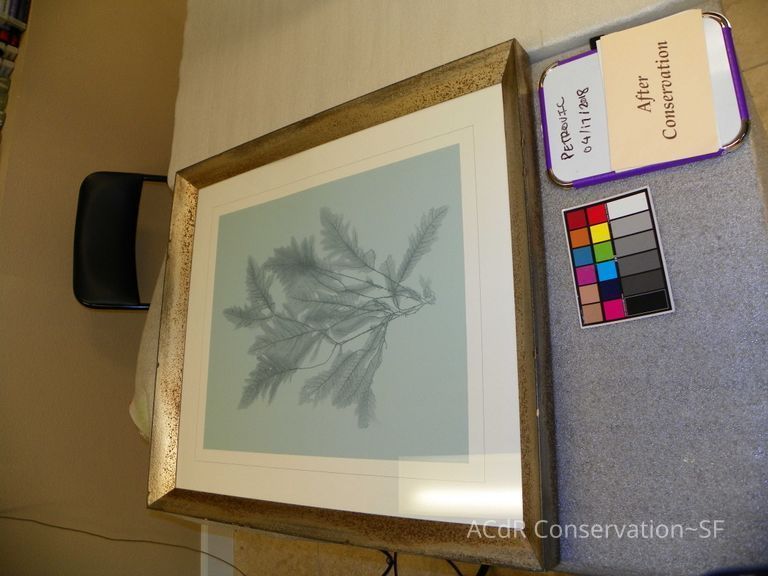 Tree Illustration - Image 13