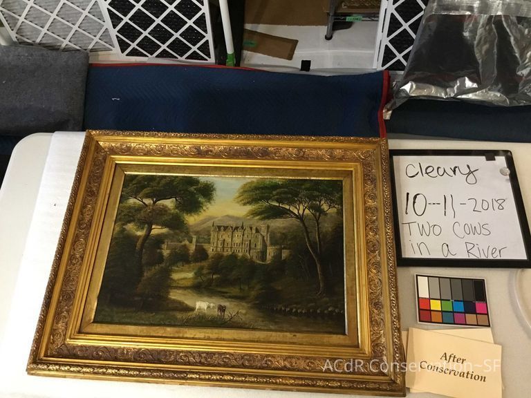 Two cows in a river  - Image 4