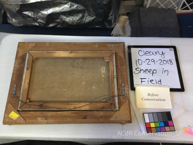 Sheep in field - Image 2