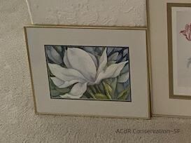          Magnolia picture number 1
