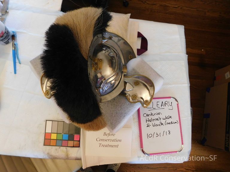          Centurion helmet with black and white horse hair picture number 1
