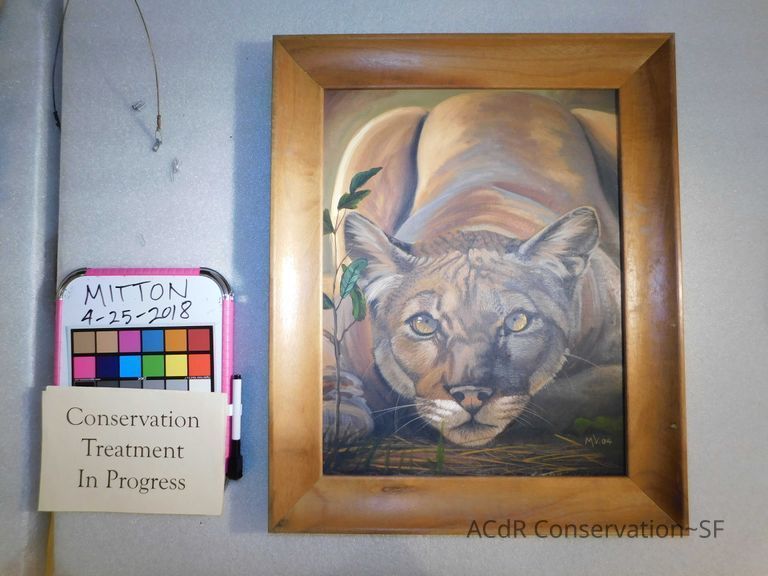 Crouched puma - Image 15