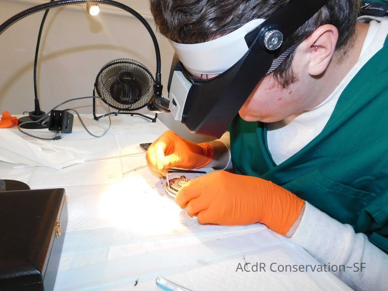 Kryha Liliput - Image 45