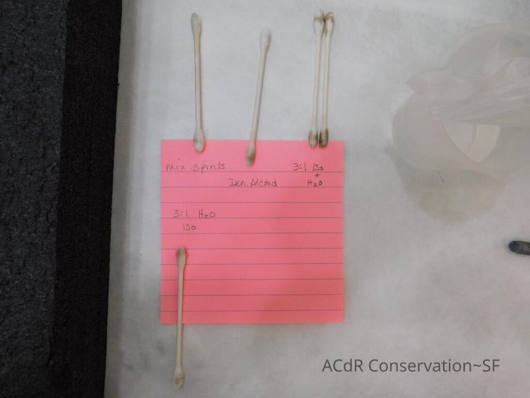 #7 - Grass and Thistles - Image 25