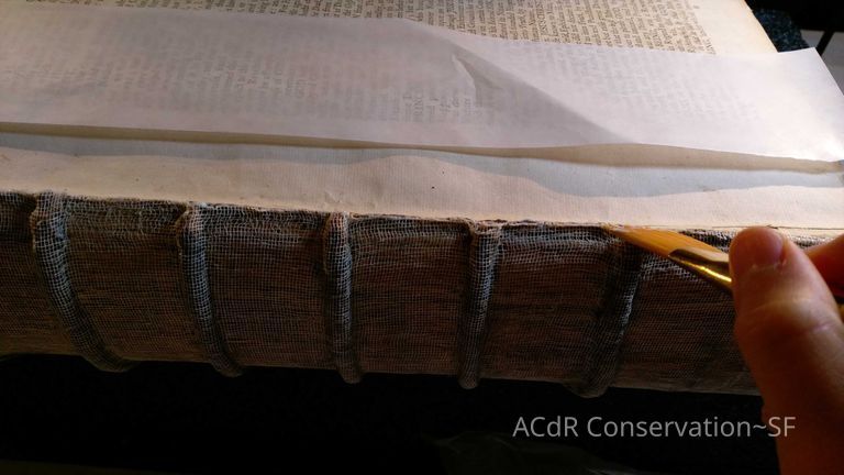 Bible - Image 31